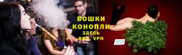 ECSTASY Краснослободск