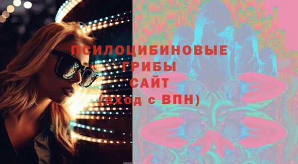 ECSTASY Краснослободск