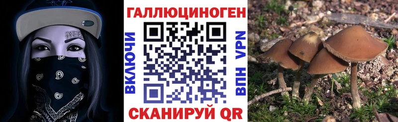 Купить закладки  Емва  Псилоцибиновые грибы GOLDEN TEACHER 